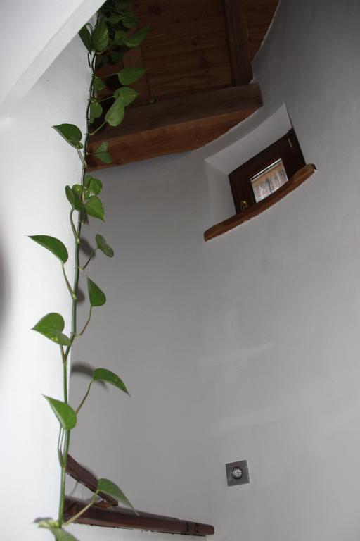Villa La Tour Нюс Экстерьер фото